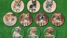 Little Friends: Dogs and Cats - Nintendo Switch (9)