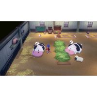 Story of Seasons Grand Bazaar: Limited Edition - Nintendo Switch 2 (1)